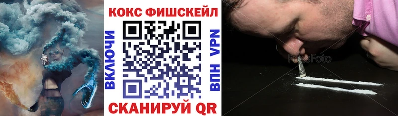 купить закладку  Шенкурск  Cocaine Перу 