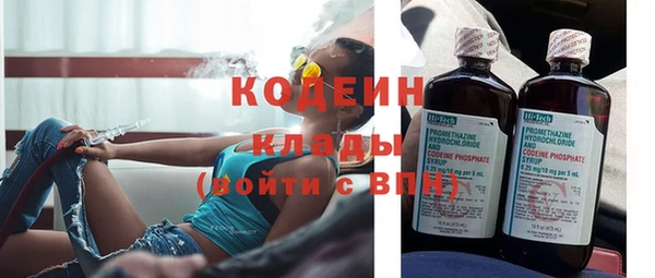 ГАЛЛЮЦИНОГЕННЫЕ ГРИБЫ Сатка