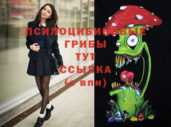 PSILOCYBIN Саяногорск