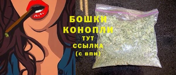 спиды Богданович