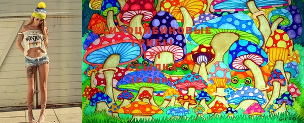 PSILOCYBIN Саяногорск