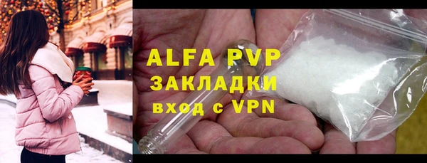 ГАЛЛЮЦИНОГЕННЫЕ ГРИБЫ Сатка